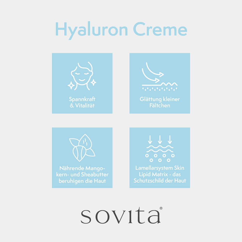 Grafik mit vier Vorteilen der Hyaluron Creme: Spannkraft & Vitalität, Glättung kleiner Fältchen, beruhigende Mango- & Sheabutter, Schutz durch Lipid-Matrix.
