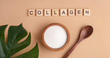 Eine hölzerne Schüssel gefüllt mit Kollagen Pulver liegt auf einem Tisch. 