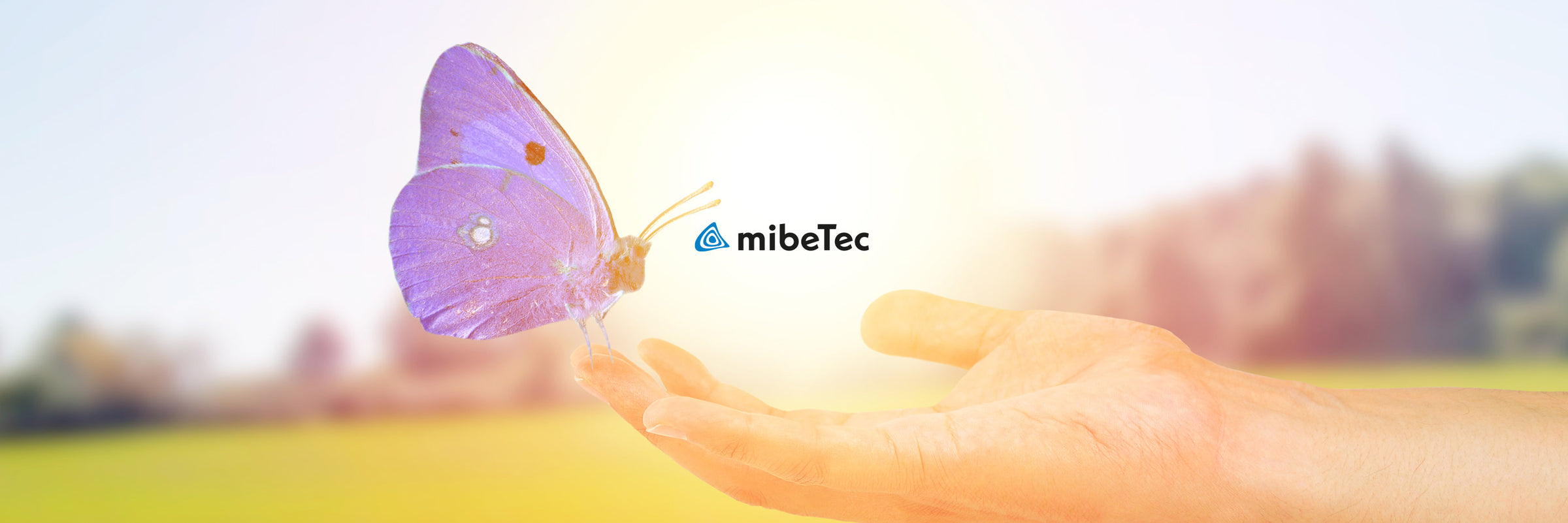 MibeTec