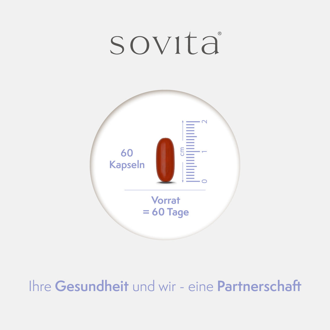 sovita Q10 100 mg Kapseln