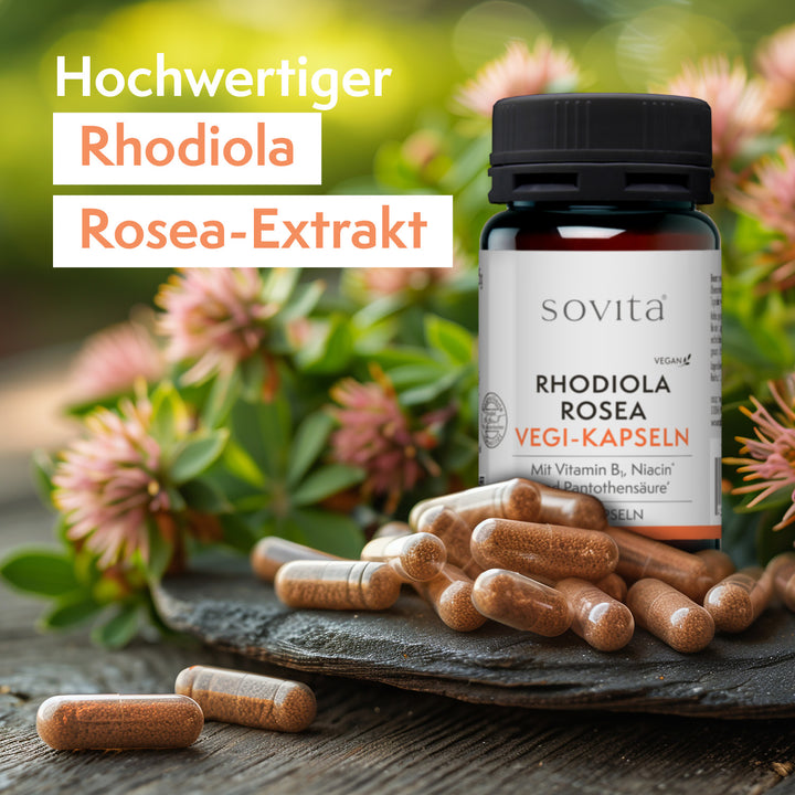 sovita Rhodiola Rosea Vegi-Kapseln