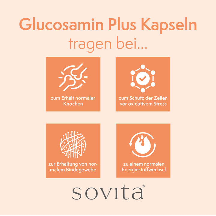 sovita Glucosamin Plus Kapseln