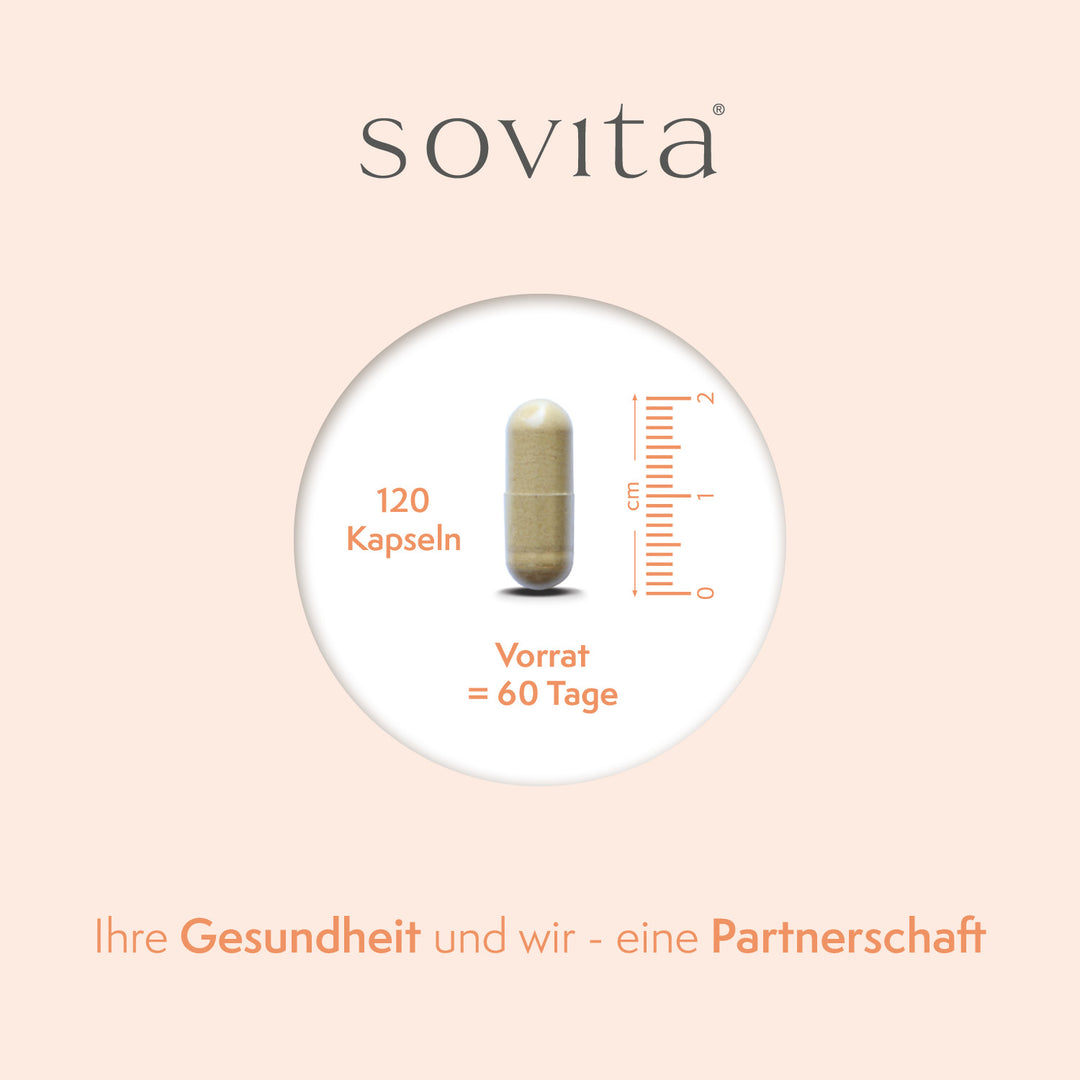 sovita Grünlippmuschel Kapseln