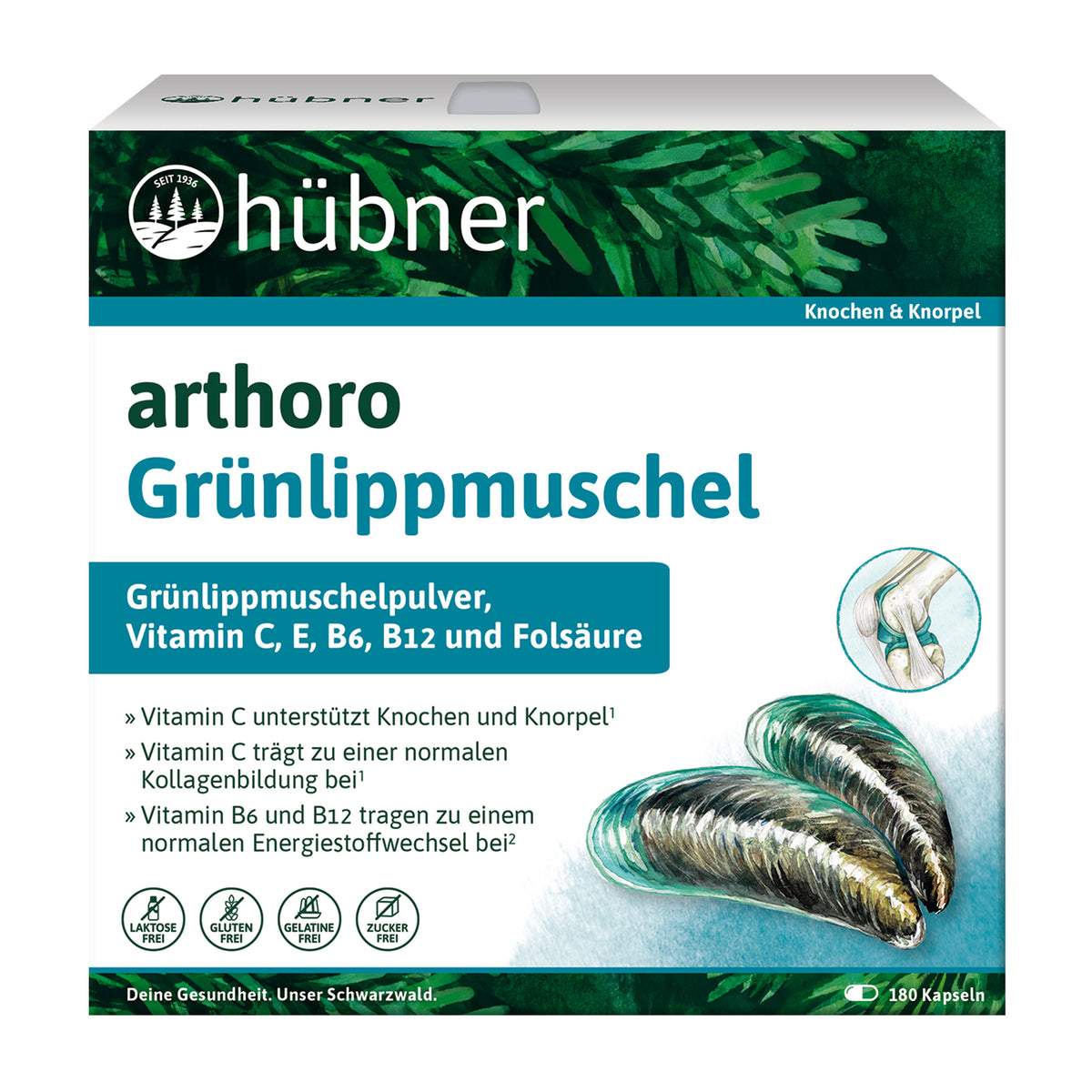 Hübner arthoro Grünlippmuschel (180 Stk.)