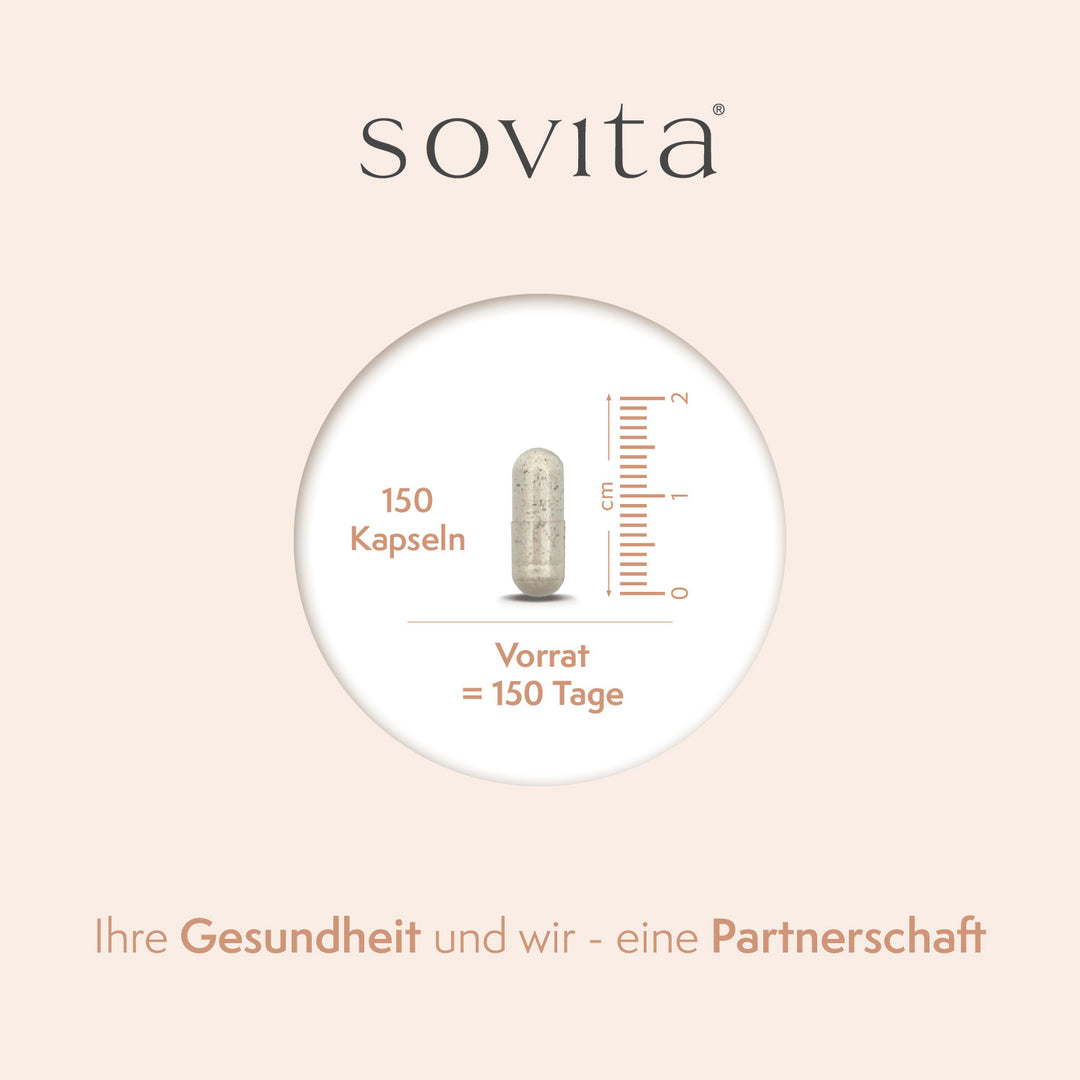 sovita Eisen Plus Vitamin C Kapseln