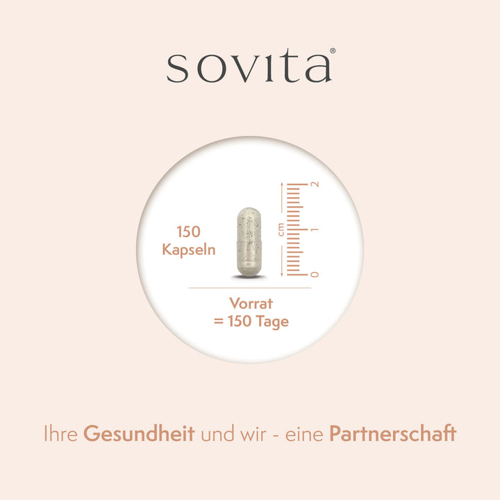 sovita Eisen Plus Vitamin C Kapseln