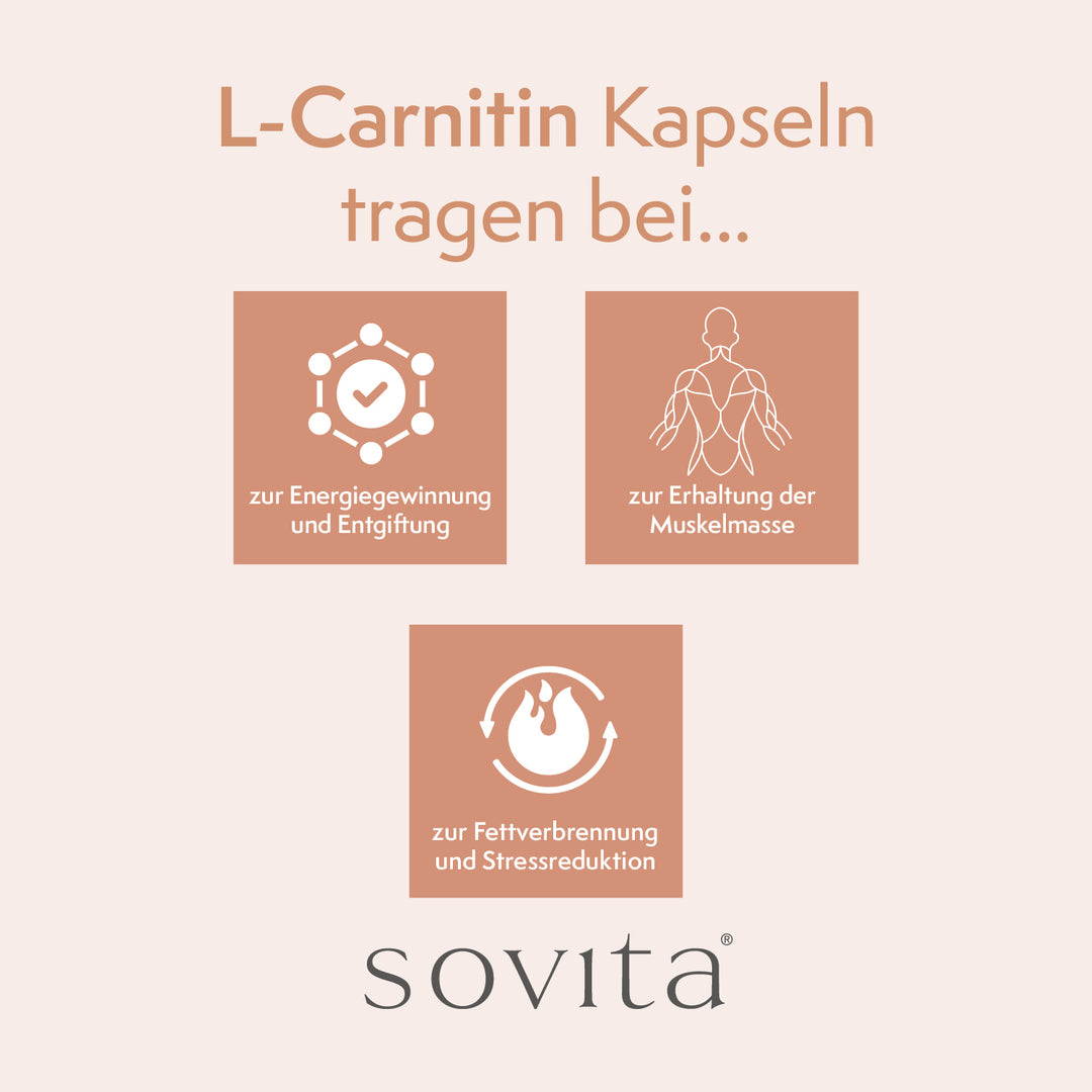 l carnitin fettverbrennung sovita L-Carnitin Kapseln