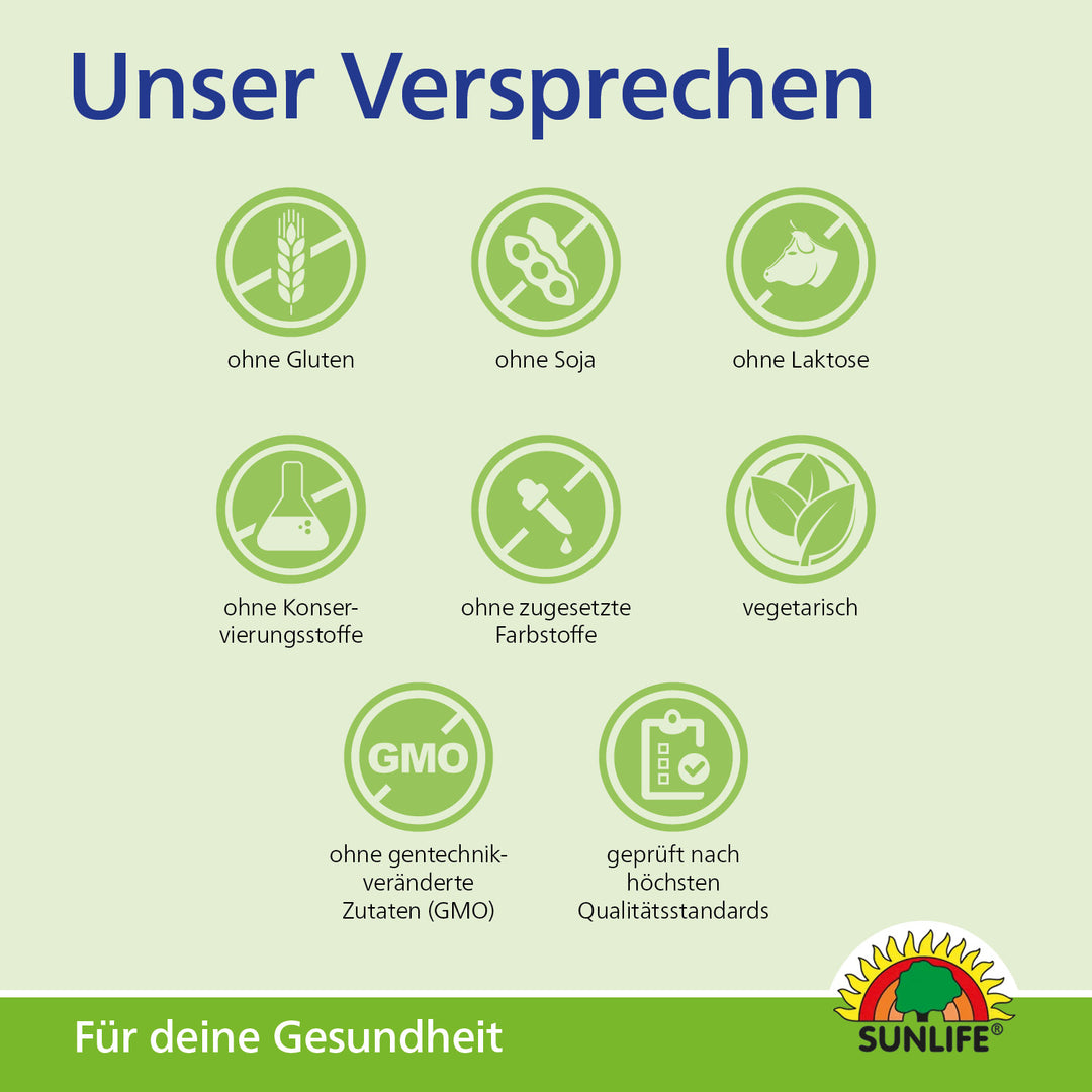 SUNLIFE Heiße Zitrone + Acerola (20 Sticks)