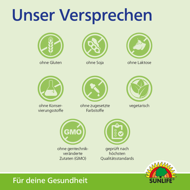 SUNLIFE Heiße Zitrone + Acerola (20 Sticks)