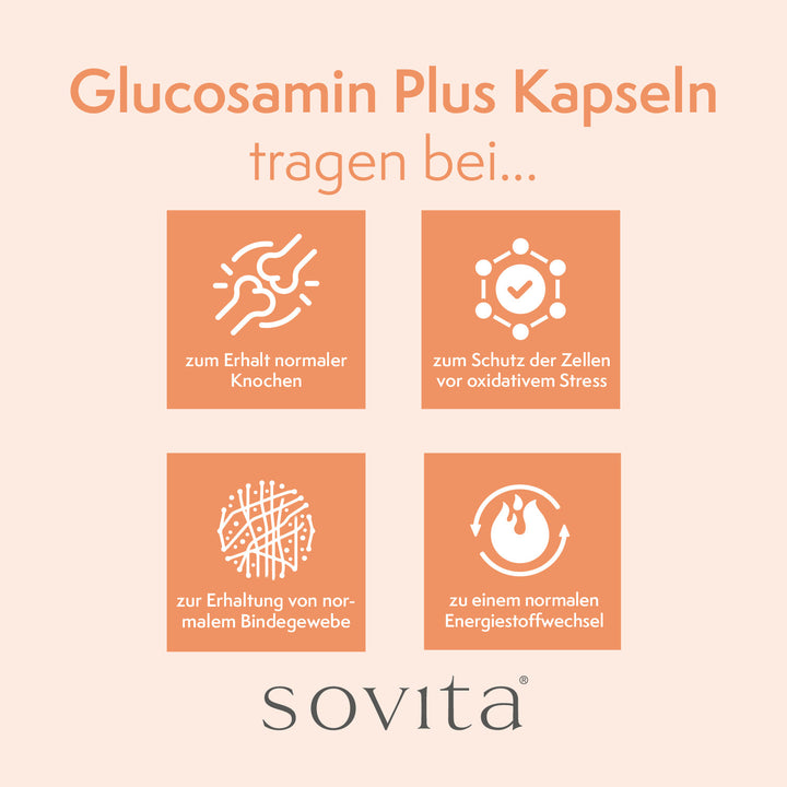 sovita Glucosamin Plus Kapseln