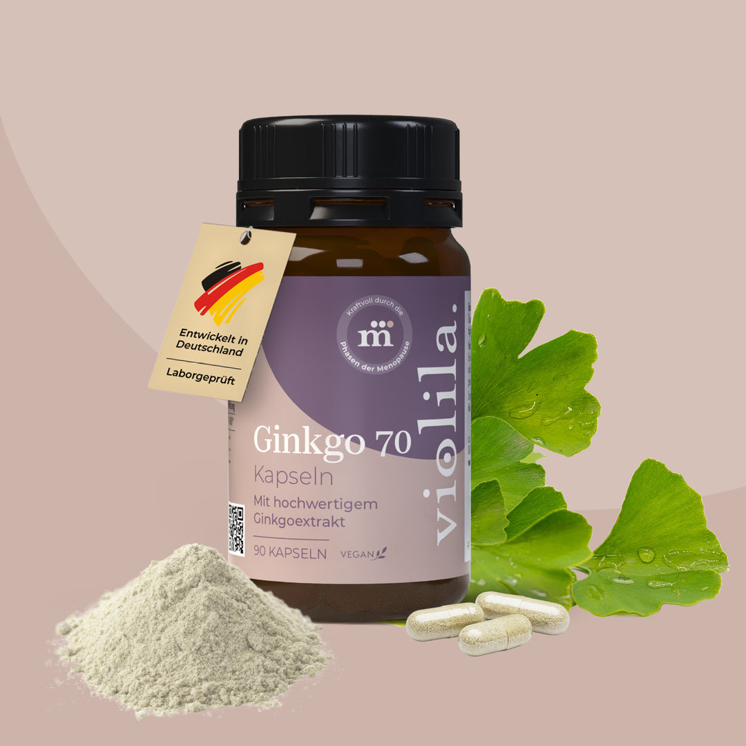 violila Ginkgo 70 Kapseln