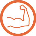 Muskeln